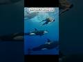 SKULL EDIT CRAZIEST OCEAN MOMENTS
