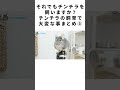 それでもチンチラを飼いますか？チンチラの飼育で大変な事まとめ③ #Shorts