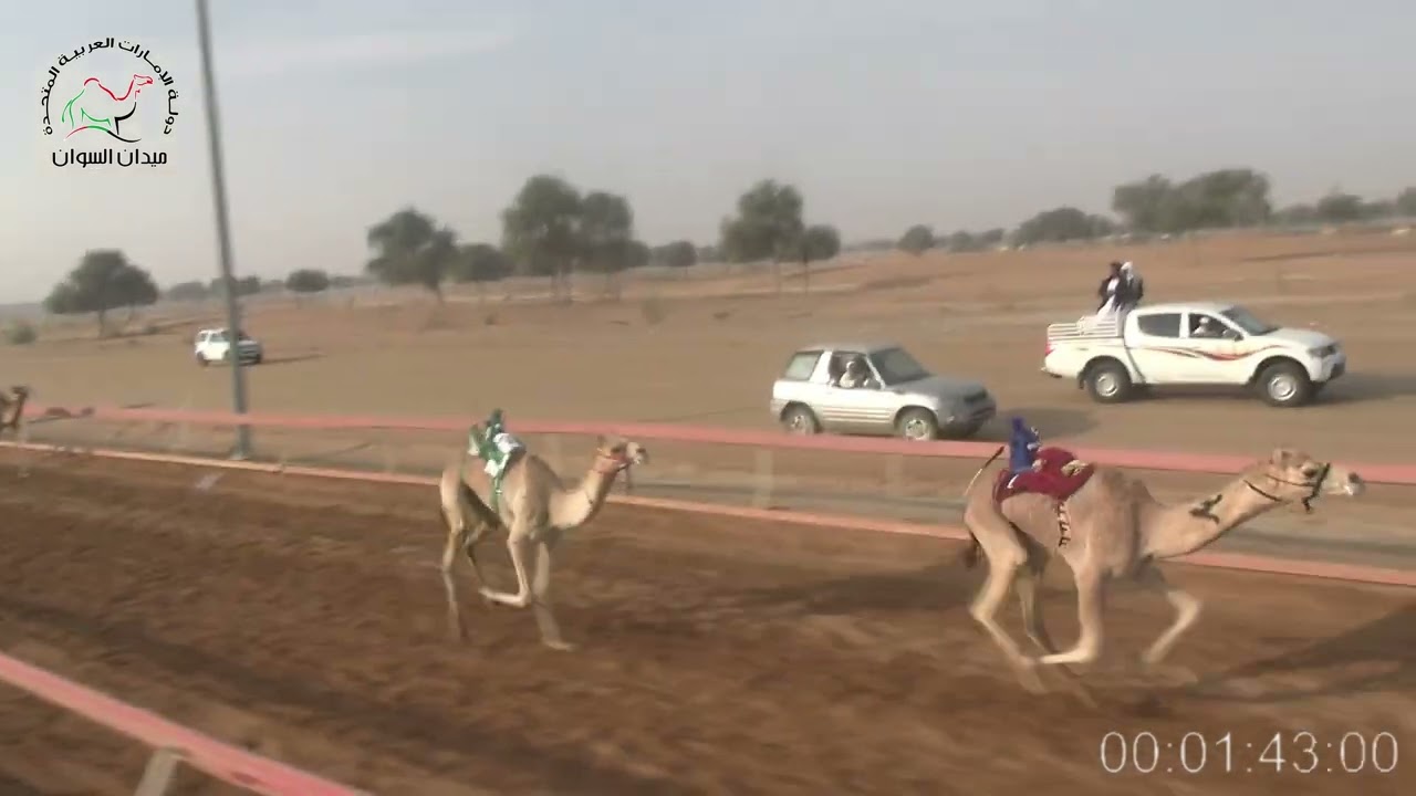 اشواط اضافية -2 -  الشبابي- للسيد / الصادق محمد المليون– R2 01/03/2026 – 02:15:17