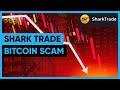 SharkTrade - The Latest Bitcoin Pyramid Scheme