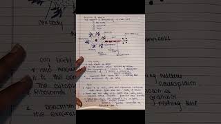 structure of neurons #icse #isc #cbse #neet #neet2026 #biology