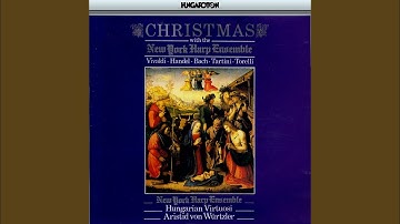 Concerto in D major RV 93: III. Allegro