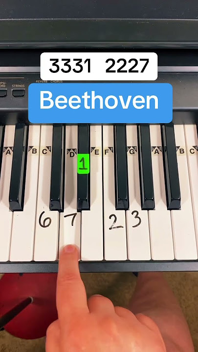 How to play Beethoven on piano #Piano #PianoTutorial #PianoLesson