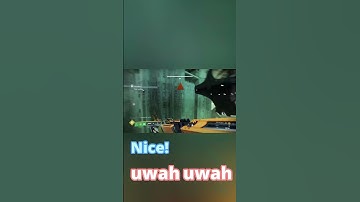 Destiny 2 In A Nutshell #shorts