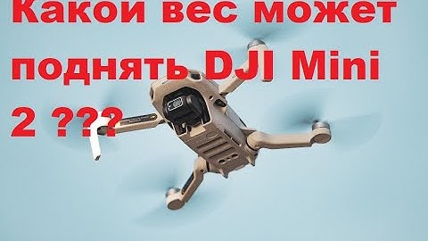 Какой вес может поднять DJI Mini 2
