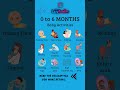Best Baby Activities 0 6 Months