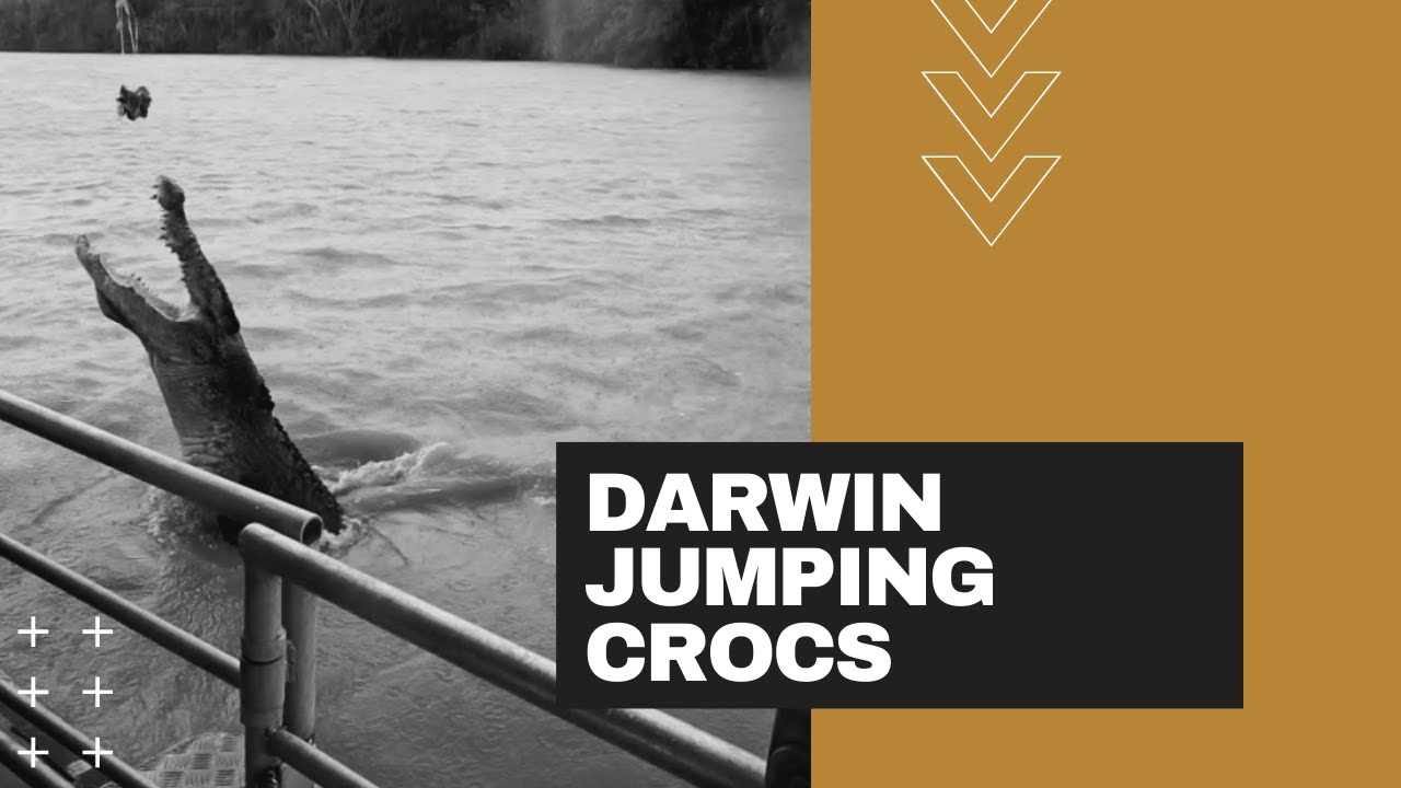 Darwin Jumping Crocs