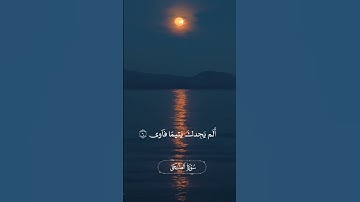 القارئ الشيخ: ناصر القطامي.  #quran #اكسبلور #islamicnasheed #qurankareem #لايك #alhidayah #لايك