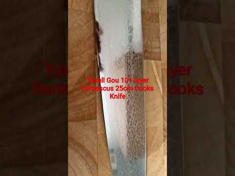 Yaxell Gou 101 layer Damascus 25cm Cooks Knife