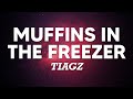 TIAGZ Muffins In The Freezer Letra Lyrics TIAGZ Muffins In The Freezer Letra Lyrics