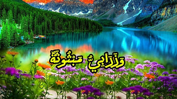 سورة الغاشية بصوت الشيخ خالد الجليل