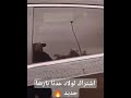 لحمت عرك بين بسيكو ام و ولاد حمتوا بعد إلى قالوا      