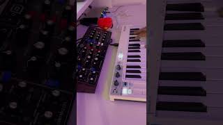 Behringer Model D Is A Great Og Synth