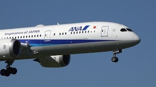 Ana Boeing 787-9 Ja875A Landing At Nrt 16R