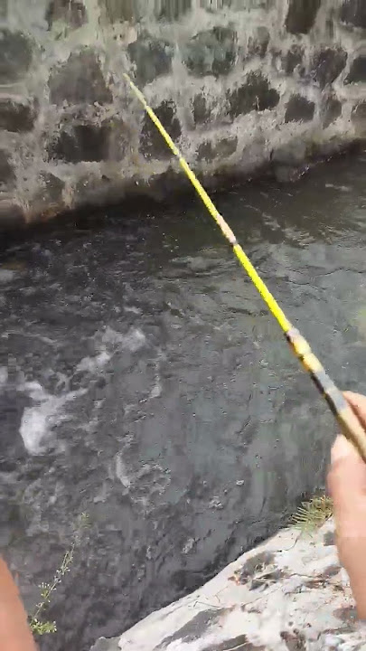 UMPAN BARU TURUN IKAN LANGSUNG BEREBUT | MICRO FISHING INDONESIA #microfhising #mancingucengbabon