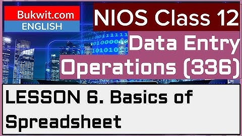 NIOS Class 12 Data Entry Operations (336): Lesson 6. Basics of Spreadsheet