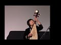 "Early Autumn" Pipa Looping Music by Gao Hong 《早秋》高虹原創作品