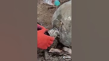 Ukrainian s Defusing an unexploded Bomb