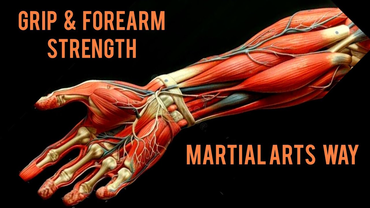 Follow Along Grip & Forearm Workout ( Martial Arts Version ) - YouTube