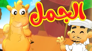 الجمل - طيور بيبي | Toyor Baby