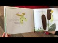 Mae the Mayfly Read Aloud, Written and Read by Denise Brennan-Nelson