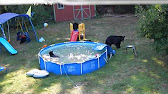 Bears like hot tubs - YouTube