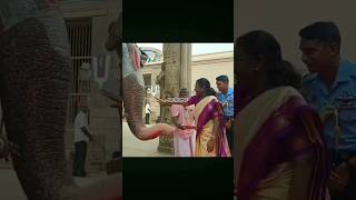 Sq. Leader Sourabh S Nair With President Mam