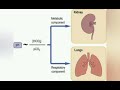 أجهزة غسيل الكلى -الحلقة الثالثة