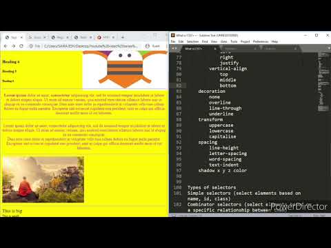 CSS | TEXT | Box Model Conclusion | Learn all you need about text properties in CSS Codefreak
