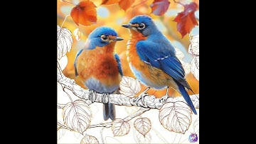 Thumbnail of Tap Color - Song Of Autumn: Two Blue Bird Singing Of Autumn Orange Leaf Leaves (Special Pics)
