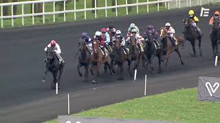 Vidéo de la course PMU PRIX PIERRE GIFFARD