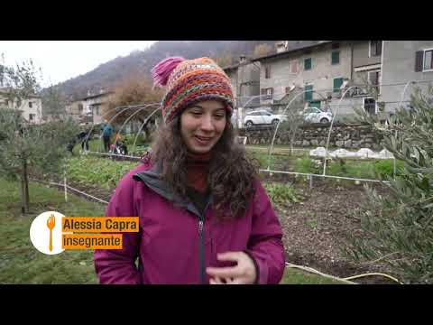 Video: Scopri gli orti scolastici - Suggerimenti per realizzare un orto scolastico per bambini