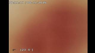 230462.3