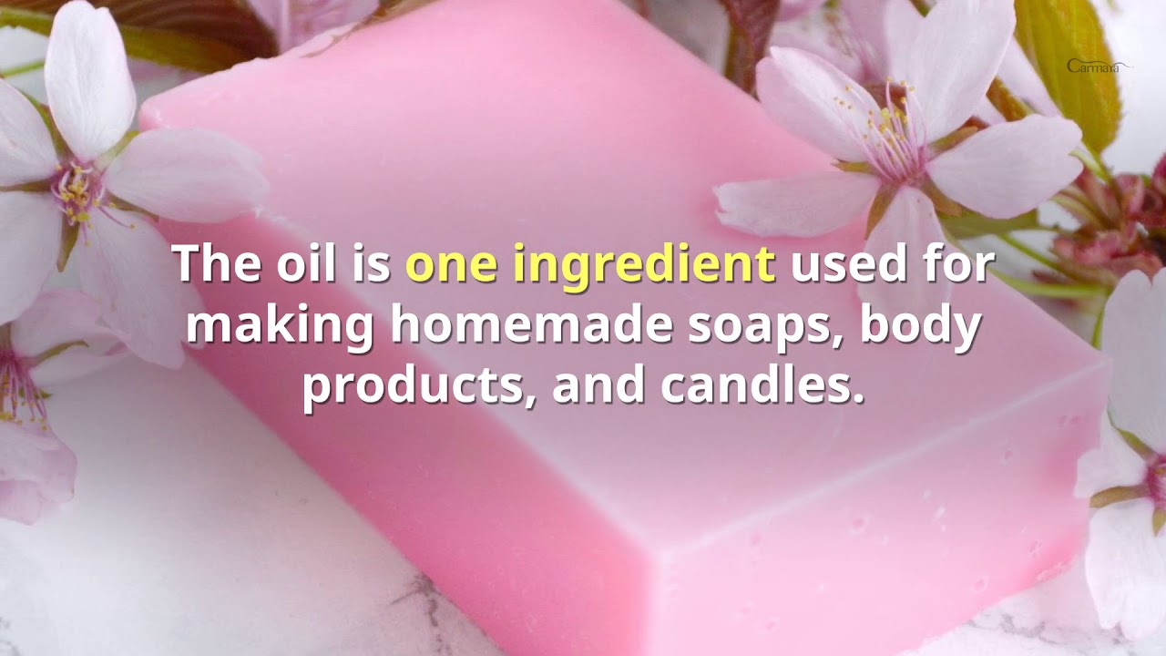 Cherry Blossom Essential Oil for Skin Whitening and Relaxation YouTube