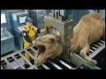 The Complete Camel Milk Factory Process   From Extraction to Premium Butter!