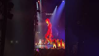 First time at the circus was absolutely incredible