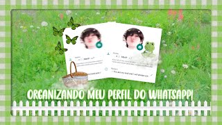 𓂅🍃ᵎ Organizando meu perfil do WhatsApp de maneira soft screenshot 5