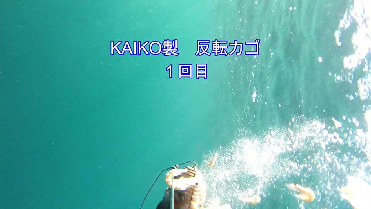 カゴ 水中映像 各種カゴの餌の放出観察 浜田伍八編 Youtube