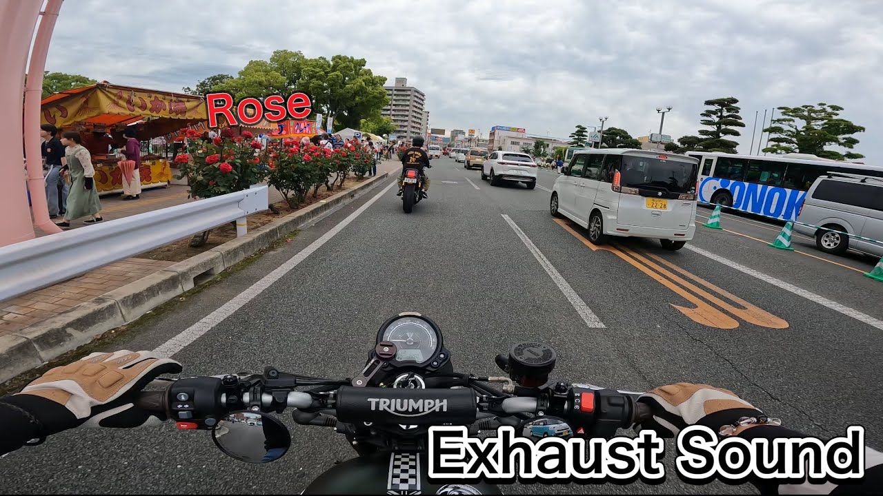 TRIUMPH Scrambler900 Exhaust Sound Fukuyama Rose park neighborhood/バラ祭りやってたから横目にちらっと見る 街ブラスクランブラー