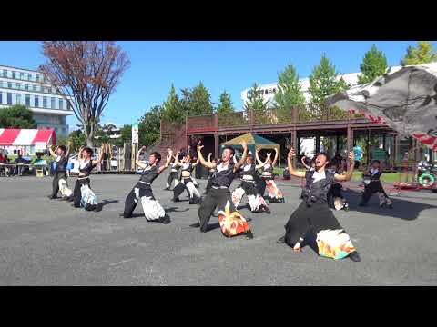 ようこそ高崎人情市(20170924_我謳)襲雷舞踊団
