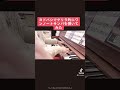 ヨドバシでゲリラ的にワンノートサンバを弾いてみた #ピアノ #即興演奏