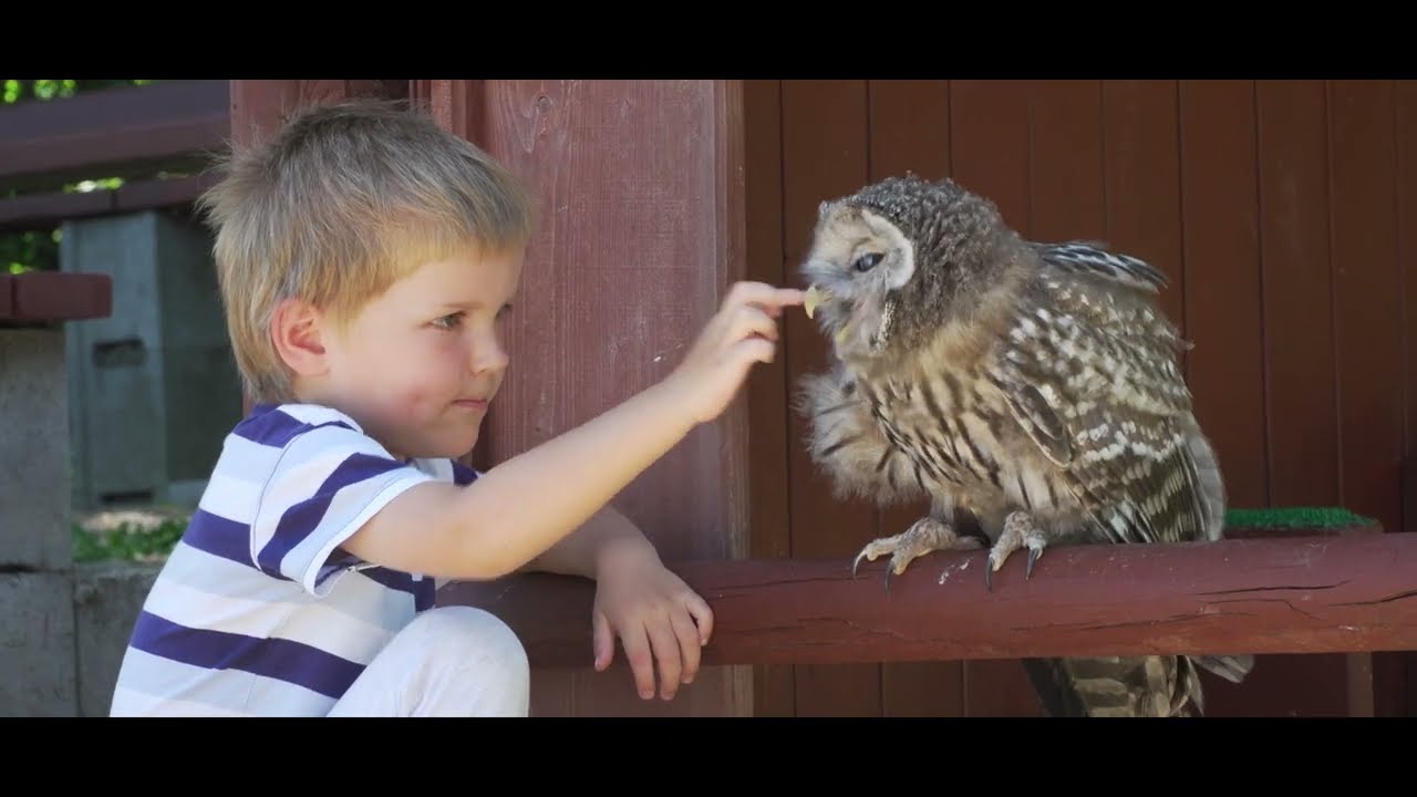 Ukázky v Lednici II