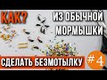 Как из простой мормышки сделать безмотылку.