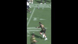 Logan Paul CONFRONTS Tom Brady in WILD Fanatics Flag Football moment