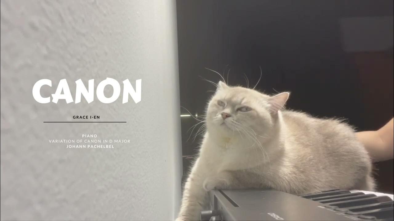 CAT PIANO cover (Canon in D) GracePianoDiary YouTube