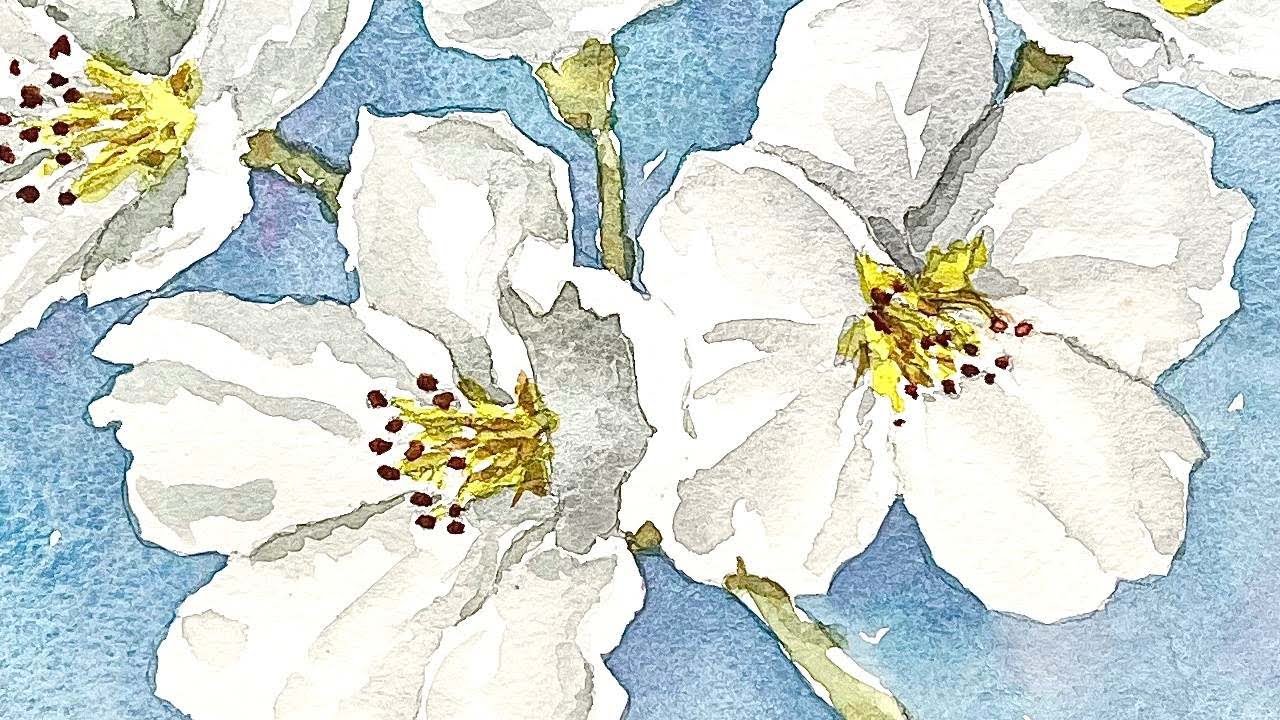 Cherry Blossoms in Watercolour | My Complete Process Demonstrated