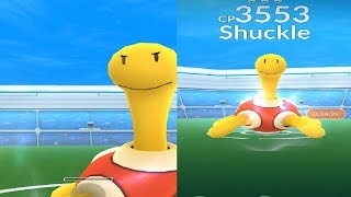 shuckle raid boss