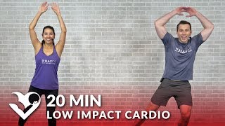 20 Minute Low Impact Standing Cardio Workout with No Jumping - 20 Min Standing Workout for Beginners screenshot 5