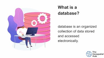 Databases and Database Management Systems
