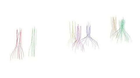 C4D Swarm Theory - X particles - Structural Experiment No.2